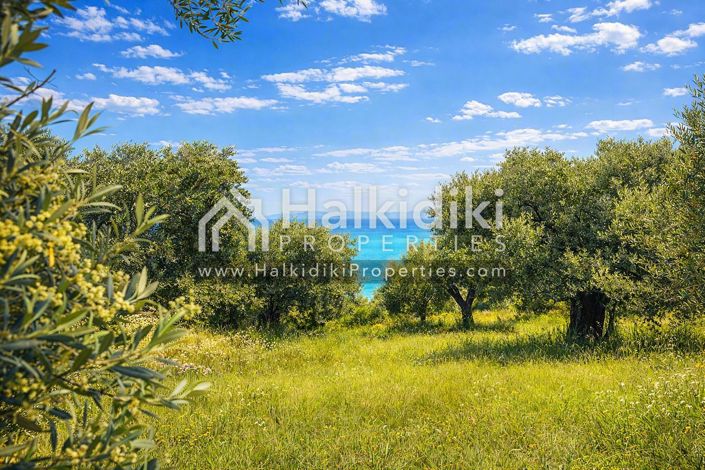 Image No.7-Studio for sale
