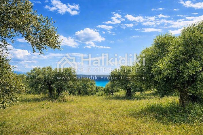 Image No.8-Studio for sale