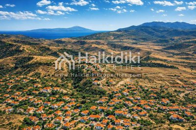 aerial