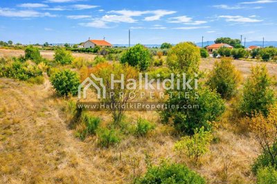 land-plot