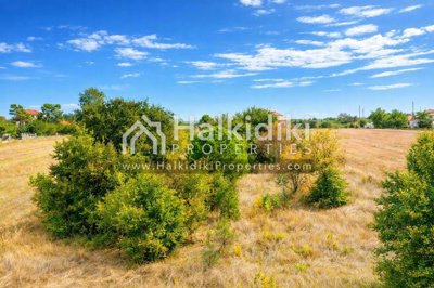 land-plot