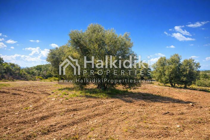 Image No.15-Land for sale