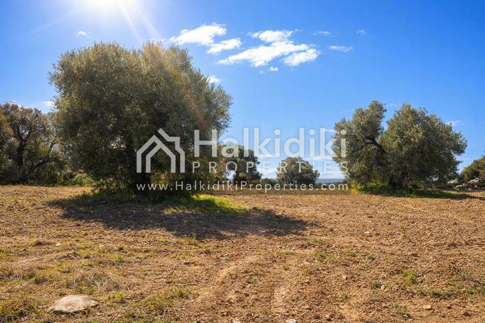 Image No.2-Land for sale