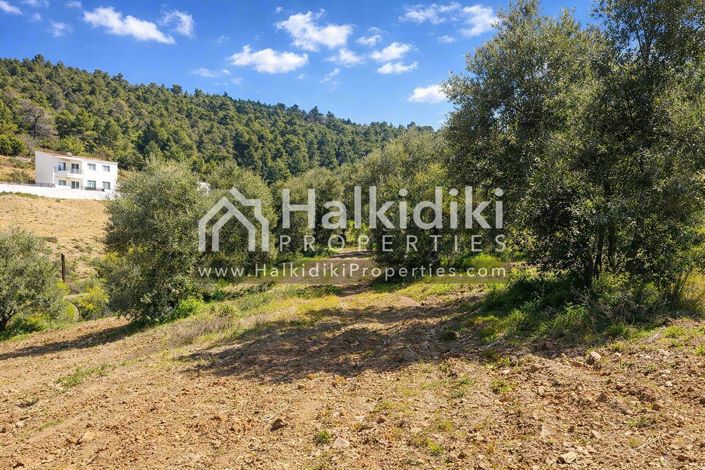 Image No.4-Land for sale