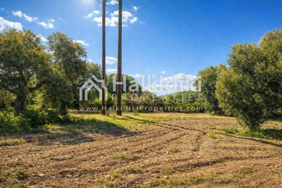 land-plot