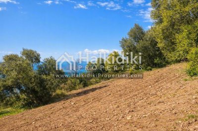 land-plot