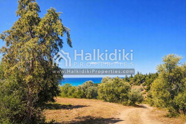Image No.9-Land for sale