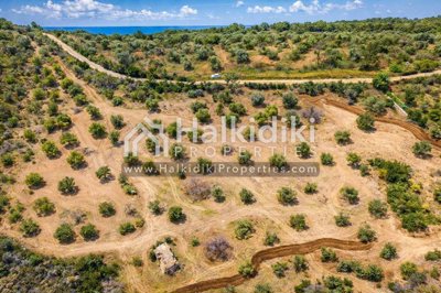 land-aerial