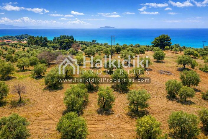 Image No.3-Terre à vendre à Halkidiki