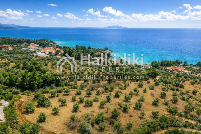 Image No.4-Terre à vendre à Halkidiki