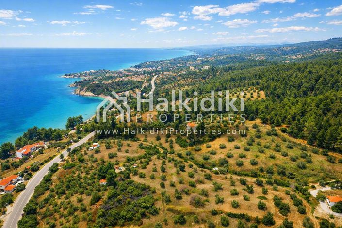 Image No.5-Terre à vendre à Halkidiki