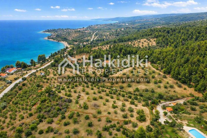 Image No.6-Terre à vendre à Halkidiki
