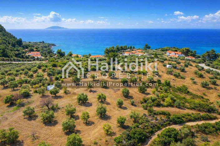 Image No.8-Terre à vendre à Halkidiki