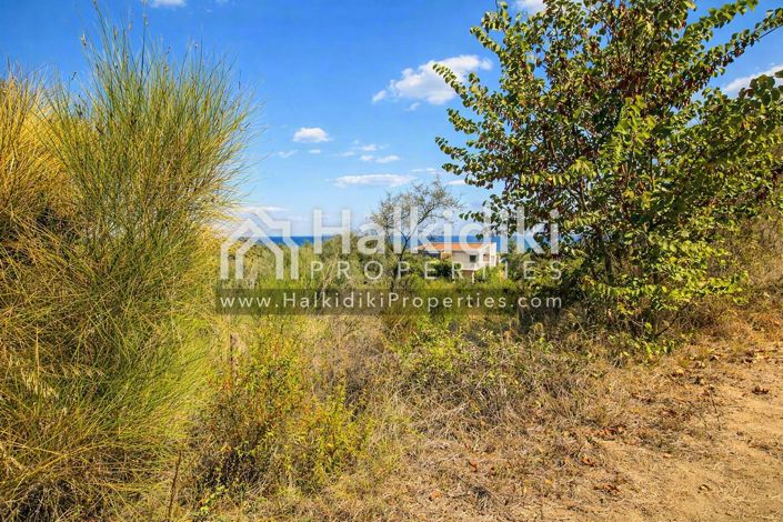 Image No.11-Land for sale