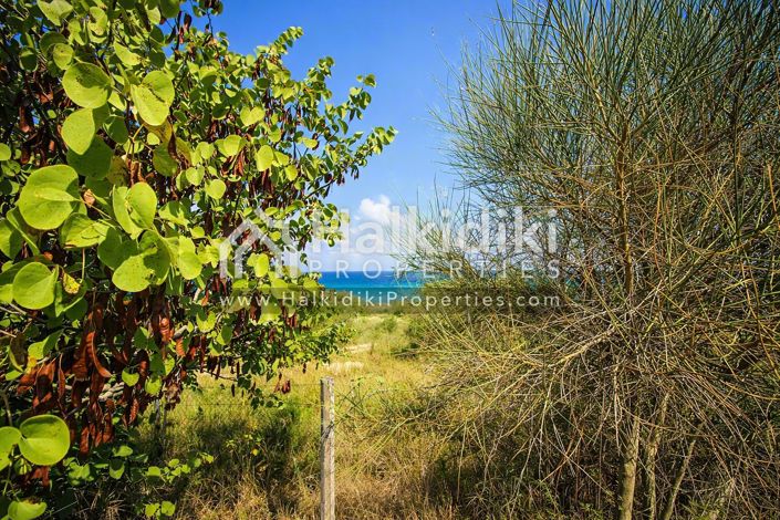 Image No.13-Land for sale