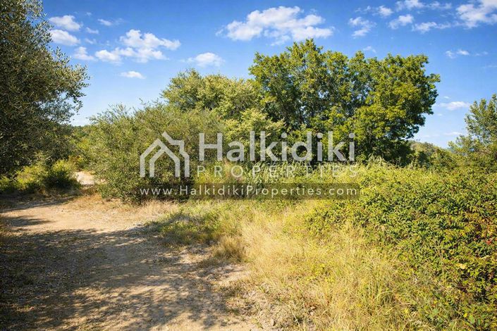 Image No.3-Land for sale