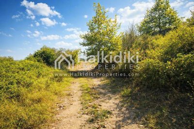 land-surroundings