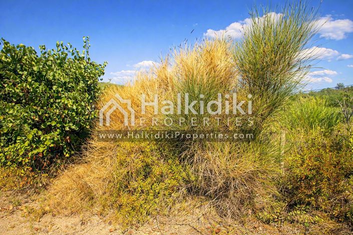 Image No.8-Land for sale