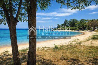 beach-view
