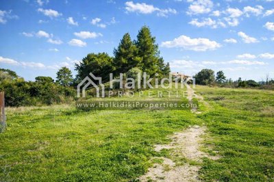 land-plot