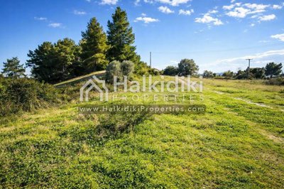 land-plot