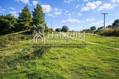 land-plot