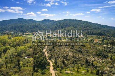 land-aerial