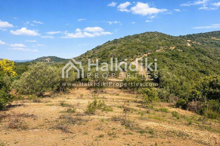 Image No.8-Land for sale