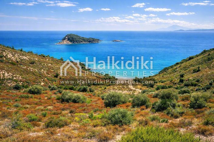 Image No.4-Terre à vendre à Halkidiki