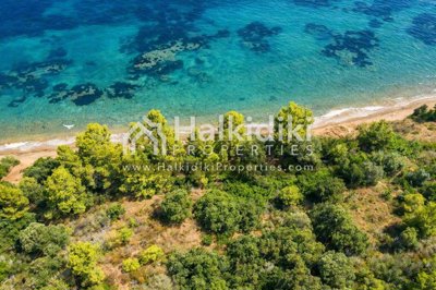 beach-view