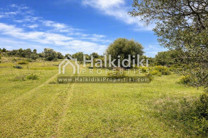 Image No.5-Land for sale