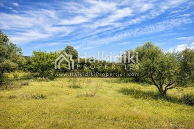 land-plot