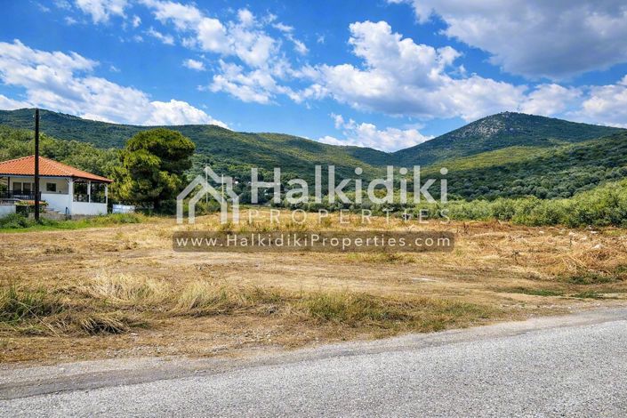 Image No.2-Terre à vendre à Pyrgadikia