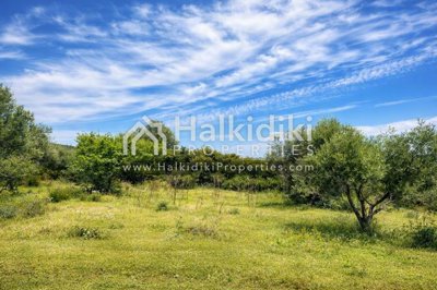 land-plot