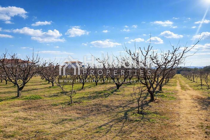 Image No.13-Land for sale