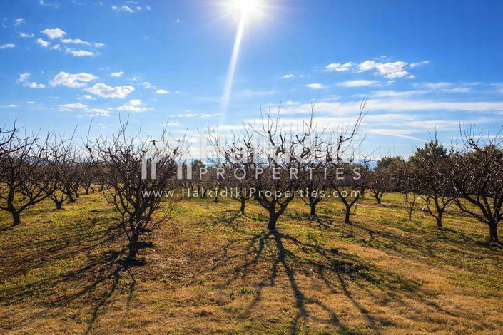 Image No.18-Land for sale