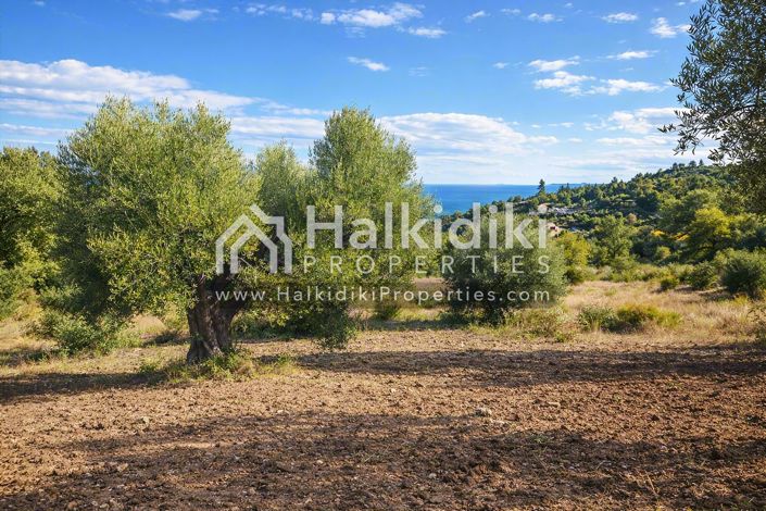 Image No.8-Plot for sale
