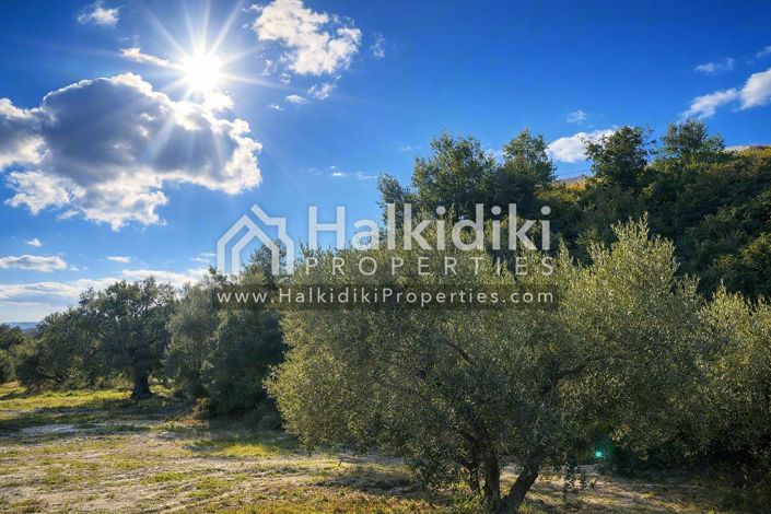 Image No.2-Land for sale