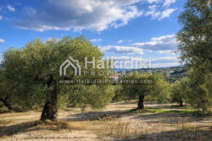 Image No.4-Land for sale