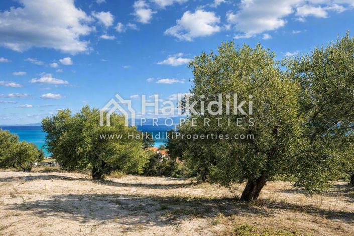 Image No.5-Land for sale