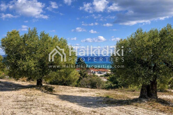 Image No.8-Land for sale