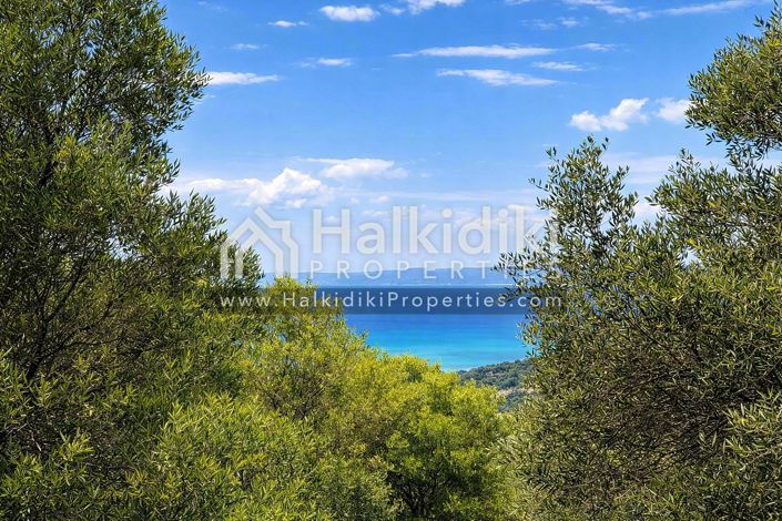 Image No.2-Terre à vendre à Halkidiki