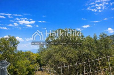 land-surroundings