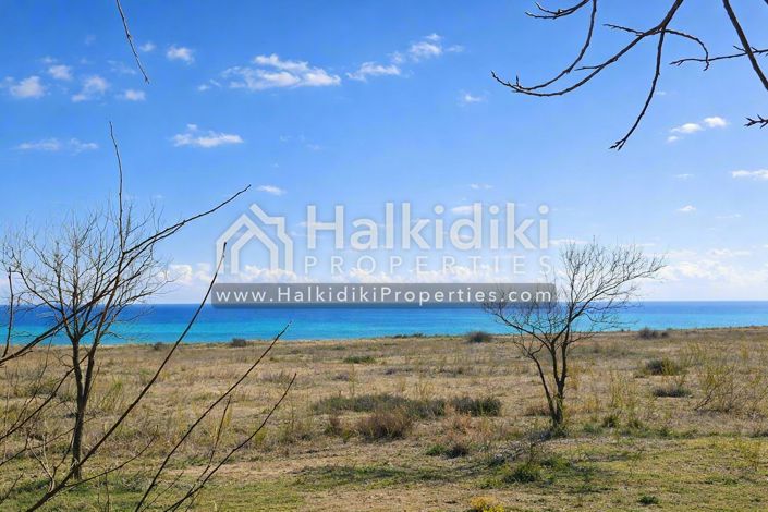 Image No.21-Terre à vendre à Halkidiki