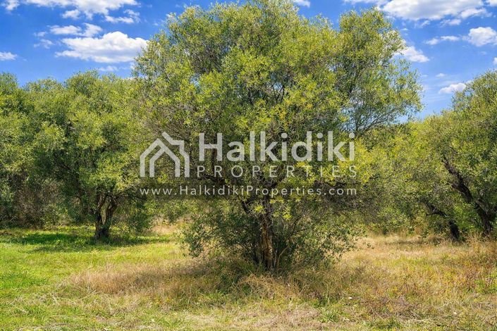 Image No.22-Land for sale