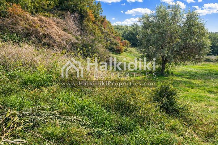 Image No.24-Land for sale