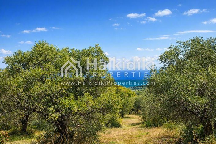 Image No.25-Land for sale
