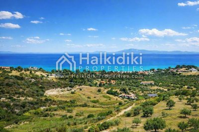 panoramic-view