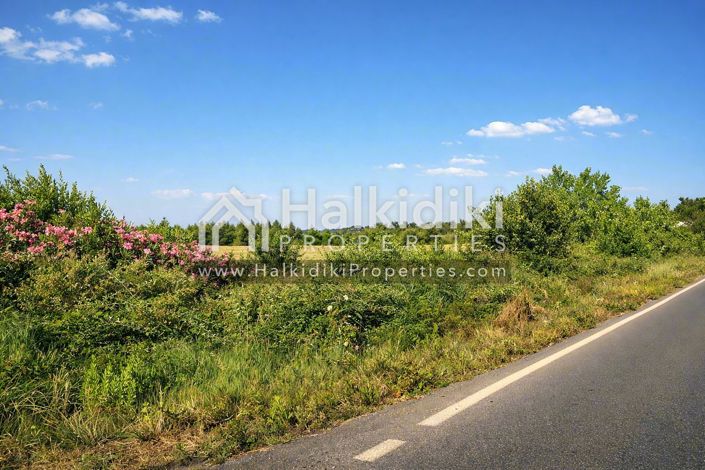 Image No.10-Land for sale