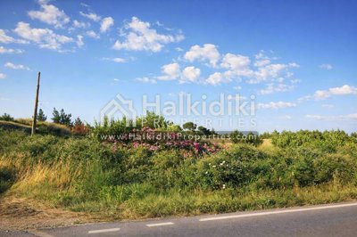 land-plot